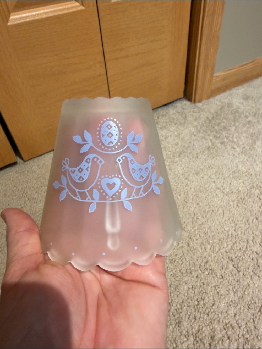 Vintage Frosted Glass Fairy lamp globe
